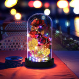 Christmas Eternal Rose in Glass Dome - Beauty and the Beast Inspired Keepsake, Lasting Floral Gift for Mom/Wife/Grandma, Luxury Preserved Roses with LED Light for Birthday/Anniversary